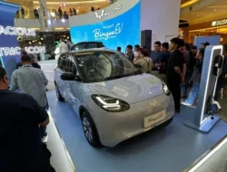 Mobil Listrik Klasik Modern: Penguasa Baru Segmen Hatchback Mini