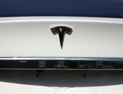 Tesla Terjungkal: Dua Raksasa China Kuasai Pasar Kendaraan Listrik