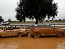 Waspada Mobil Bekas Banjir? Cek Detail Ini Sebelum Beli